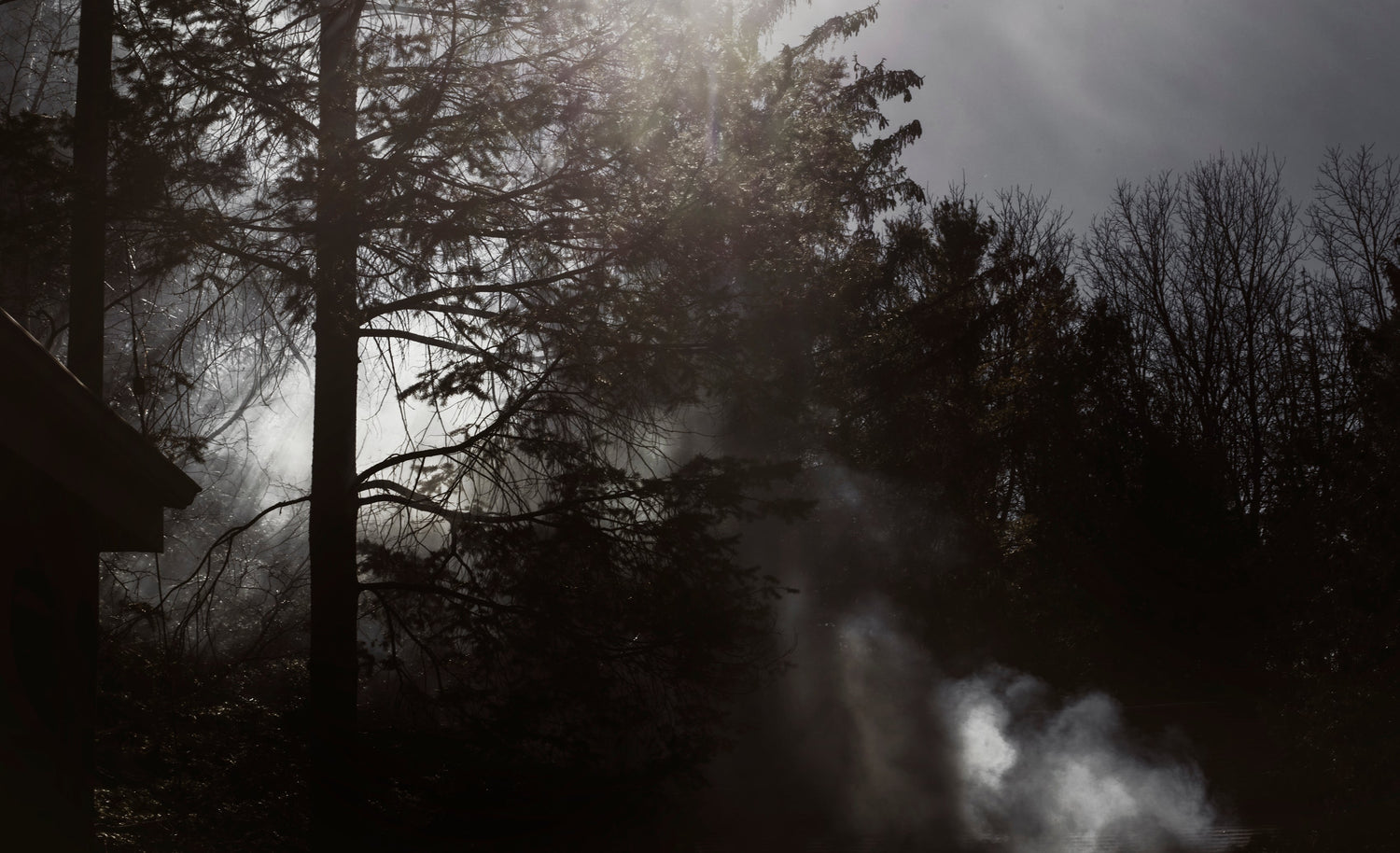 WILDFIRE RELIEF FUNDRAISERS